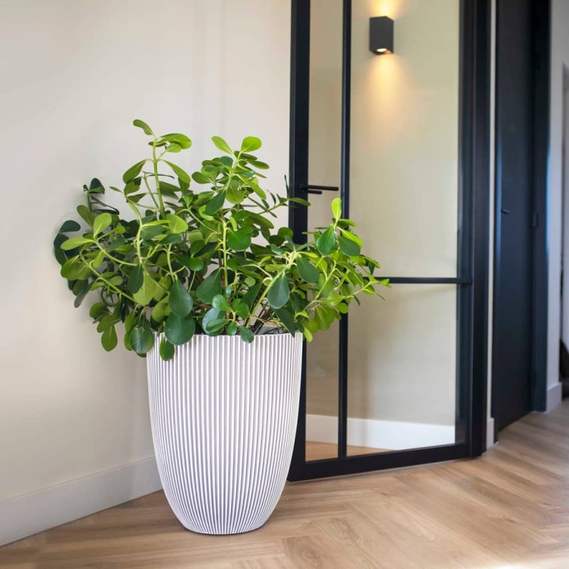 Capi Vase Groove Elegant 46x58 cm Elfenbein Capi Vase Groove Elegant 46x58 cm Elfenbein