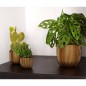 Capi 4-tlg. Blumentopf-Set Groove Gold Capi 4-tlg. Blumentopf-Set Groove Gold