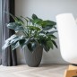Capi Vase Groove Elegant 46x58 cm Anthrazit Capi Vase Groove Elegant 46x58 cm Anthrazit