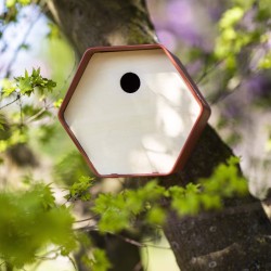 Capi Vogelhäuschen Hive 1 19x23x20 cm Braun