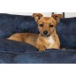Scruffs & Tramps Hundebett Kensington Größe M 60x50 cm Marineblau Scruffs & Tramps Hundebett Kensington Größe M 60x50 cm Marineblau