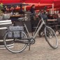 Willex Fahrradtaschen 36 L Schwarz und Braun Fantasy Trees 13961 Willex Fahrradtaschen 36 L Schwarz und Braun Fantasy Trees 13961