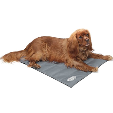 Scruffs & Tramps Kühlmatte für Hunde Grau Größe M 2717
