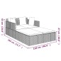 vidaXL Sonnenliege mit Kissen Grau 182x118x63 cm Poly Rattan vidaXL Sonnenliege mit Kissen Grau 182x118x63 cm Poly Rattan