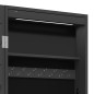vidaXL Spiegel-Schmuckschrank mit LED-Beleuchtung Wandmontage Schwarz vidaXL Spiegel-Schmuckschrank mit LED-Beleuchtung Wandmontage Schwarz