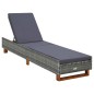 vidaXL Sonnenliege mit Auflage Poly Rattan Grau vidaXL Sonnenliege mit Auflage Poly Rattan Grau
