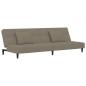 vidaXL Schlafsofa 2-Sitzer mit 2 Kissen Hellgrau Samt vidaXL Schlafsofa 2-Sitzer mit 2 Kissen Hellgrau Samt