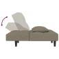vidaXL Schlafsofa 2-Sitzer mit 2 Kissen Hellgrau Samt vidaXL Schlafsofa 2-Sitzer mit 2 Kissen Hellgrau Samt