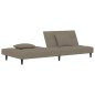 vidaXL Schlafsofa 2-Sitzer mit 2 Kissen Hellgrau Samt vidaXL Schlafsofa 2-Sitzer mit 2 Kissen Hellgrau Samt