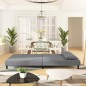 vidaXL Schlafsofa 2-Sitzer mit 2 Kissen Hellgrau Samt vidaXL Schlafsofa 2-Sitzer mit 2 Kissen Hellgrau Samt