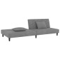 vidaXL Schlafsofa 2-Sitzer mit 2 Kissen Hellgrau Samt vidaXL Schlafsofa 2-Sitzer mit 2 Kissen Hellgrau Samt