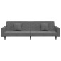 vidaXL Schlafsofa 2-Sitzer mit 2 Kissen Dunkelgrau Samt vidaXL Schlafsofa 2-Sitzer mit 2 Kissen Dunkelgrau Samt