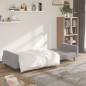 vidaXL Schlafsofa 2-Sitzer Hellgrau Mikrofaser vidaXL Schlafsofa 2-Sitzer Hellgrau Mikrofaser