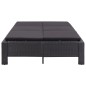 vidaXL 2-Personen-Sonnenliege mit Auflage Schwarz Poly Rattan vidaXL 2-Personen-Sonnenliege mit Auflage Schwarz Poly Rattan
