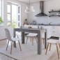vidaXL Esstisch Betongrau 120x60x76 cm Holzwerkstoff vidaXL Esstisch Betongrau 120x60x76 cm Holzwerkstoff