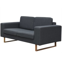 vidaXL 2-Sitzer Sofa Stoff Dunkelgrau