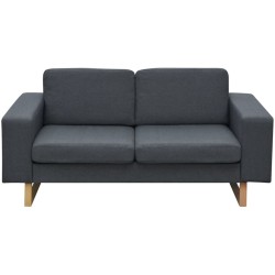 vidaXL 2-Sitzer Sofa Stoff Dunkelgrau