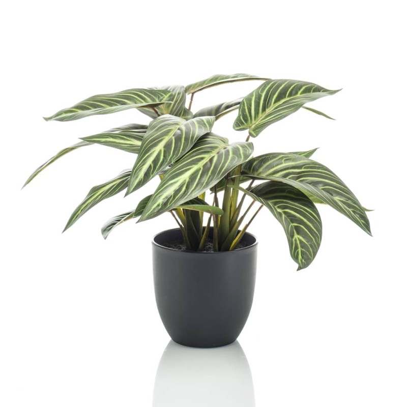 Emerald Künstliche Maranta Calathea Zebrina 38 cm im Topf Emerald Künstliche Maranta Calathea Zebrina 38 cm im Topf