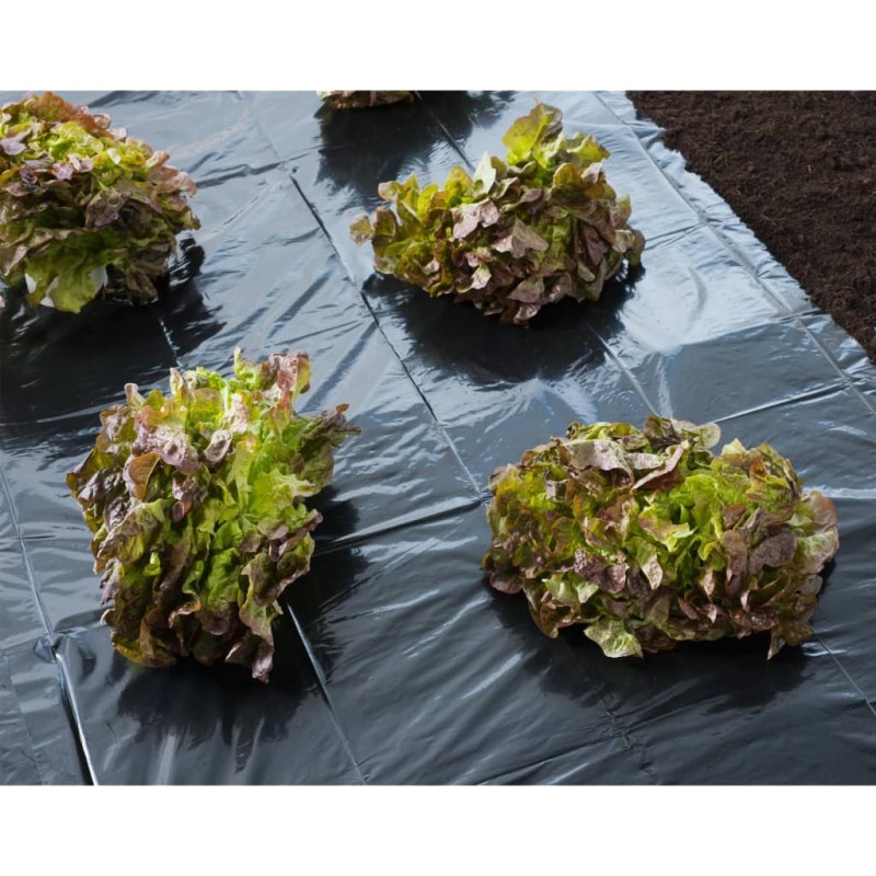 Nature Abdeckfolie 4x6 m 150µ Schwarz Nature Abdeckfolie 4x6 m 150µ Schwarz