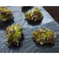 Nature Abdeckfolie 4x6 m 150µ Schwarz Nature Abdeckfolie 4x6 m 150µ Schwarz