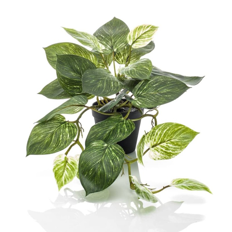 Emerald Künstliche Efeutute Scindapsus 55 cm im Topf Emerald Künstliche Efeutute Scindapsus 55 cm im Topf