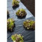 Nature Abdeckfolie 4x6 m 100µ Schwarz Nature Abdeckfolie 4x6 m 100µ Schwarz