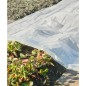 Nature Pflanzfolie 3x4 m 200µ Transparent Nature Pflanzfolie 3x4 m 200µ Transparent